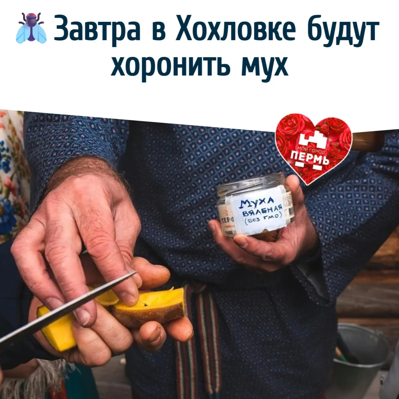 🪰 Завтра в Хохловке будут хоронить мух