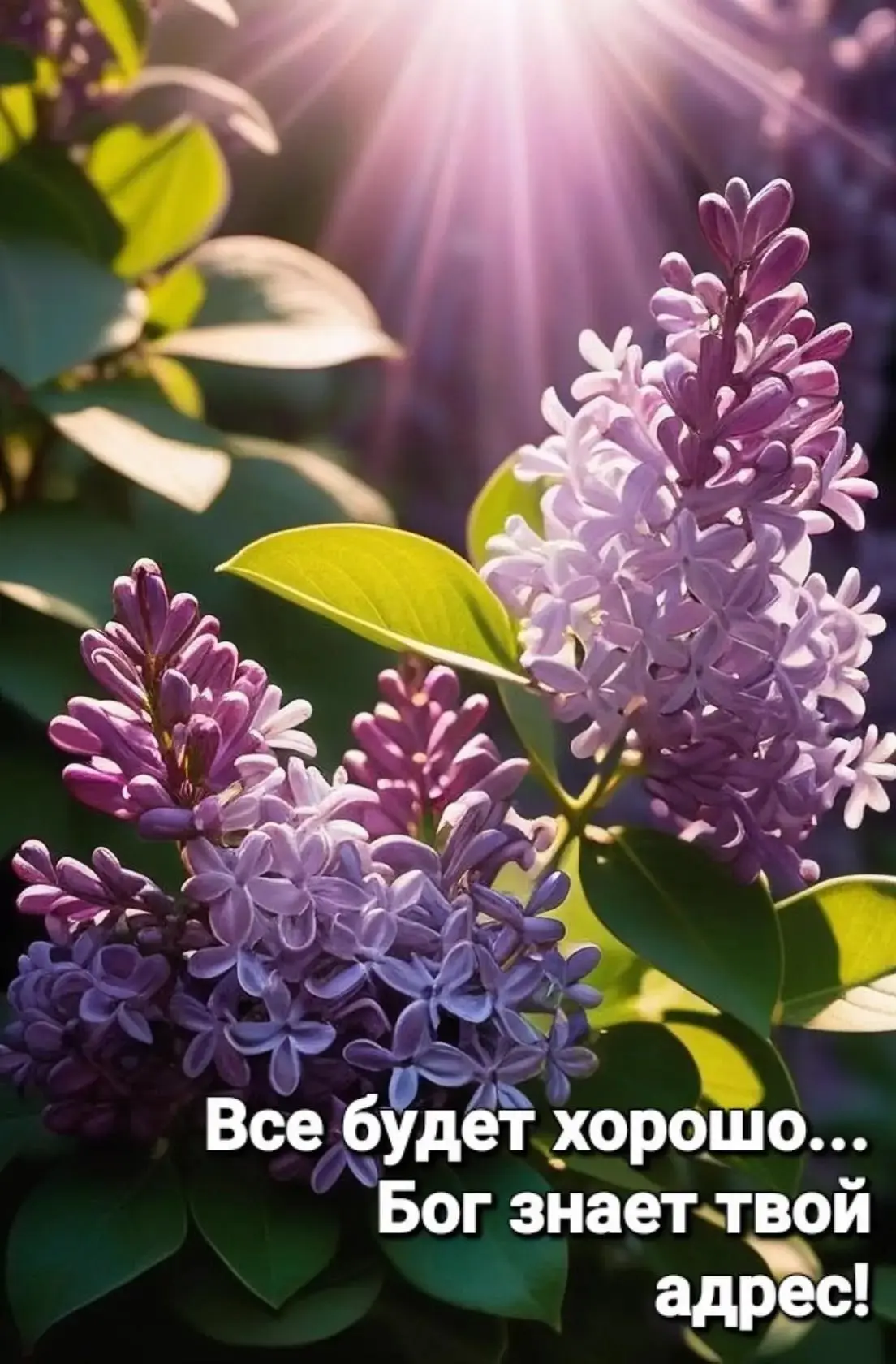 #БлагословенногоДня

Благословенные открытки 🙏