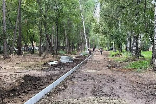 Аллею благоустроят на месте бывшей свалки около Института культуры в Барнауле.