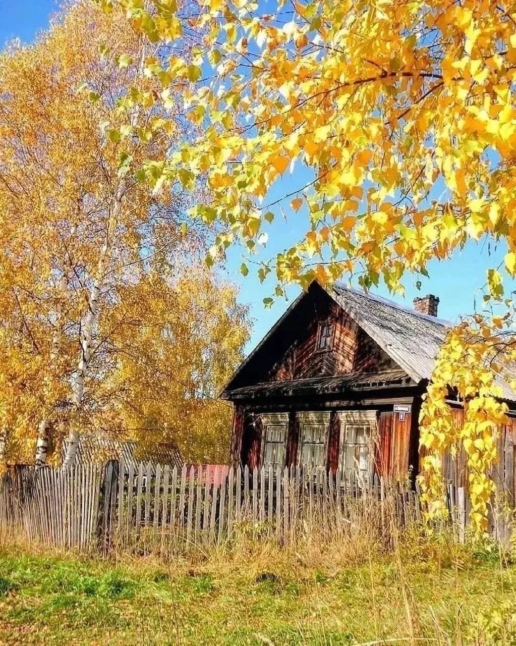🍂 Золотая осень в поселке Загубашка
