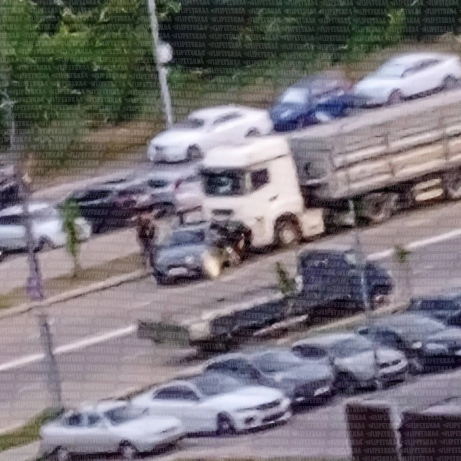 🚗 «Форд Фокус» вылетел на встречку, сигналя и моргая фарами.