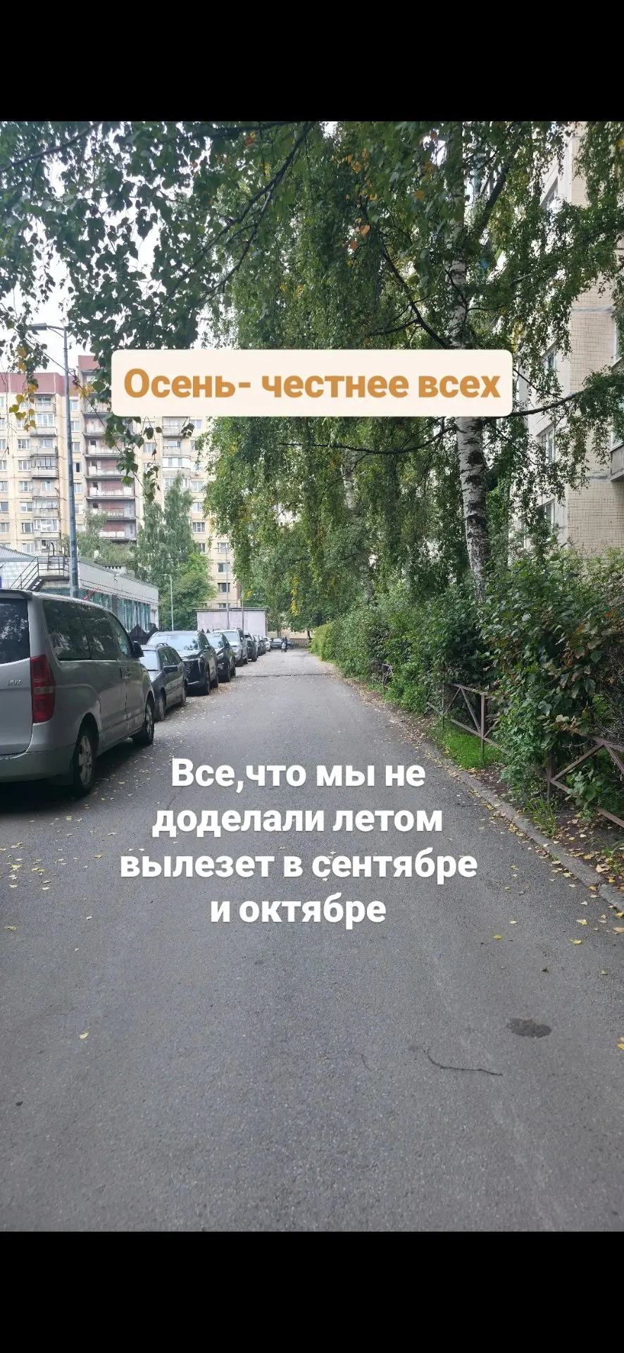 Осень началась и начались вопросы про кожу на руках/ногах