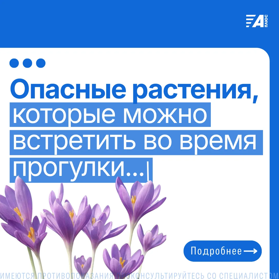 🌿ОПАСНЫЕ РАСТЕНИЯ, КОТОРЫЕ МОЖНО ВСТРЕТИТЬ ВО ВРЕМЯ ПРОГУЛКИ
Лес, поляна или горная тропа могут вст