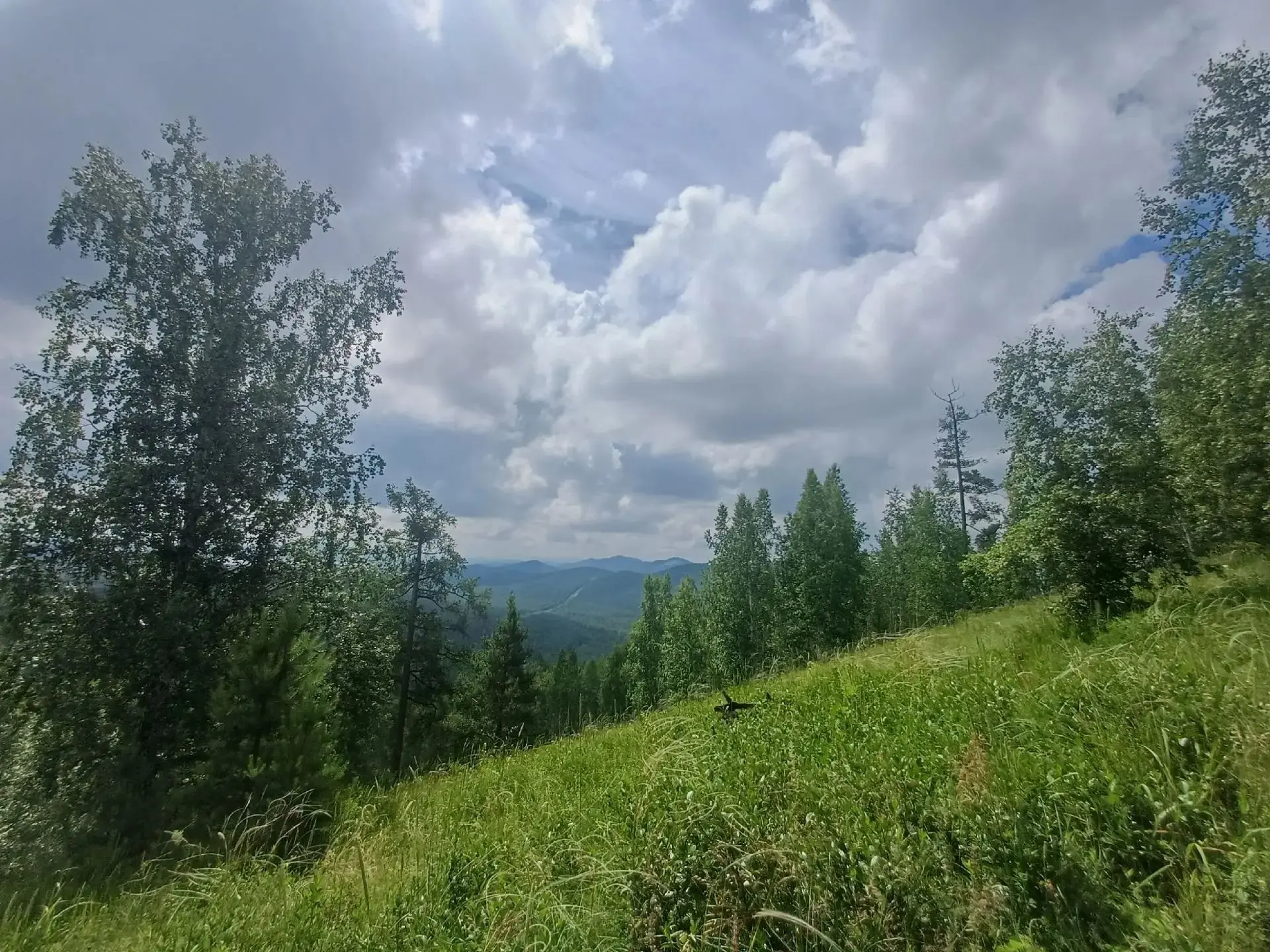 Казанцева Анна, 6 "а" класс участвует в конкурсе фотографий "Моё лето".
