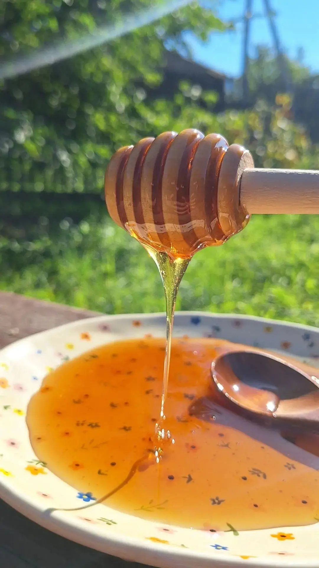 🐝ПРАЙС🐝 Мед, пчелопродукция, чаи🐝Мёд свежий, урожай 2026 г.