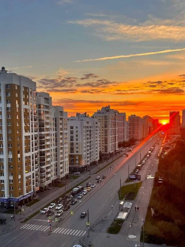Доброй ночи, друзья!