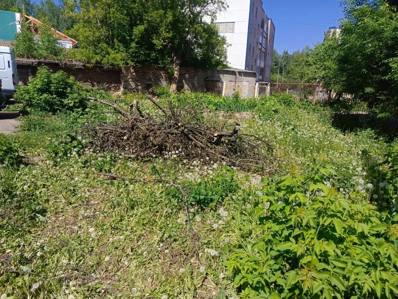 🌳 Спиленные деревья до сих пор не убрали  В Лениногорске возле дома №22 по улице Куйбышева около дву