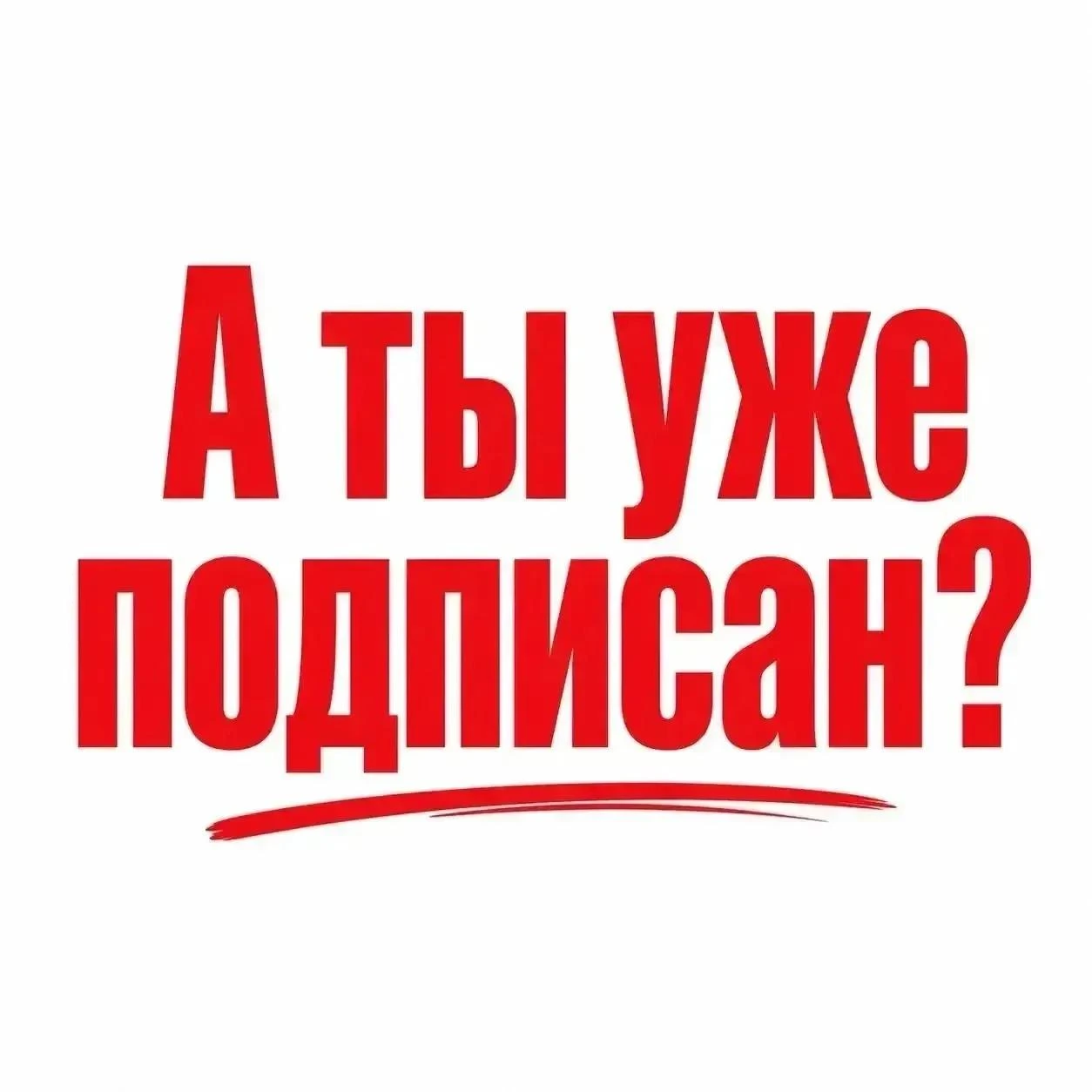 Собрала для вас подборку на каждый день ❤️