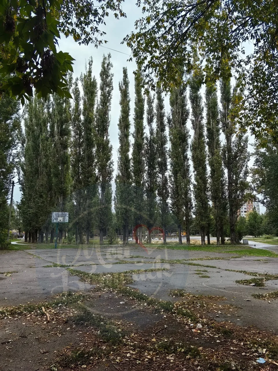 Остаётся нетронутой территория баскетбольной площадки в сквере Авиаторов 🏀
