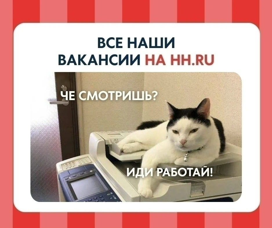 Хотите найти работу? 💣Тогда переходите по ссылке на наш профиль HH.ru. Там вы точно см...