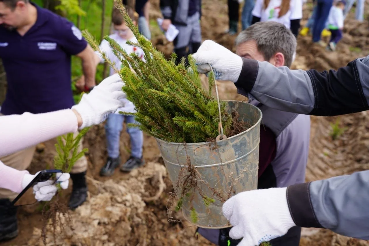 В Химках открылась центральная площадка Всероссийской акции «Сад памяти» 🌲16 мая в Сходненском участ