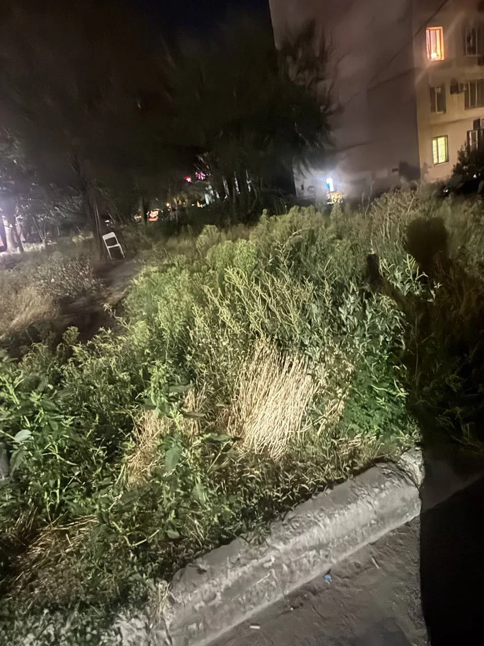 Мы уже не знаем в какие колокола бить, но это уже никуда не годиться.