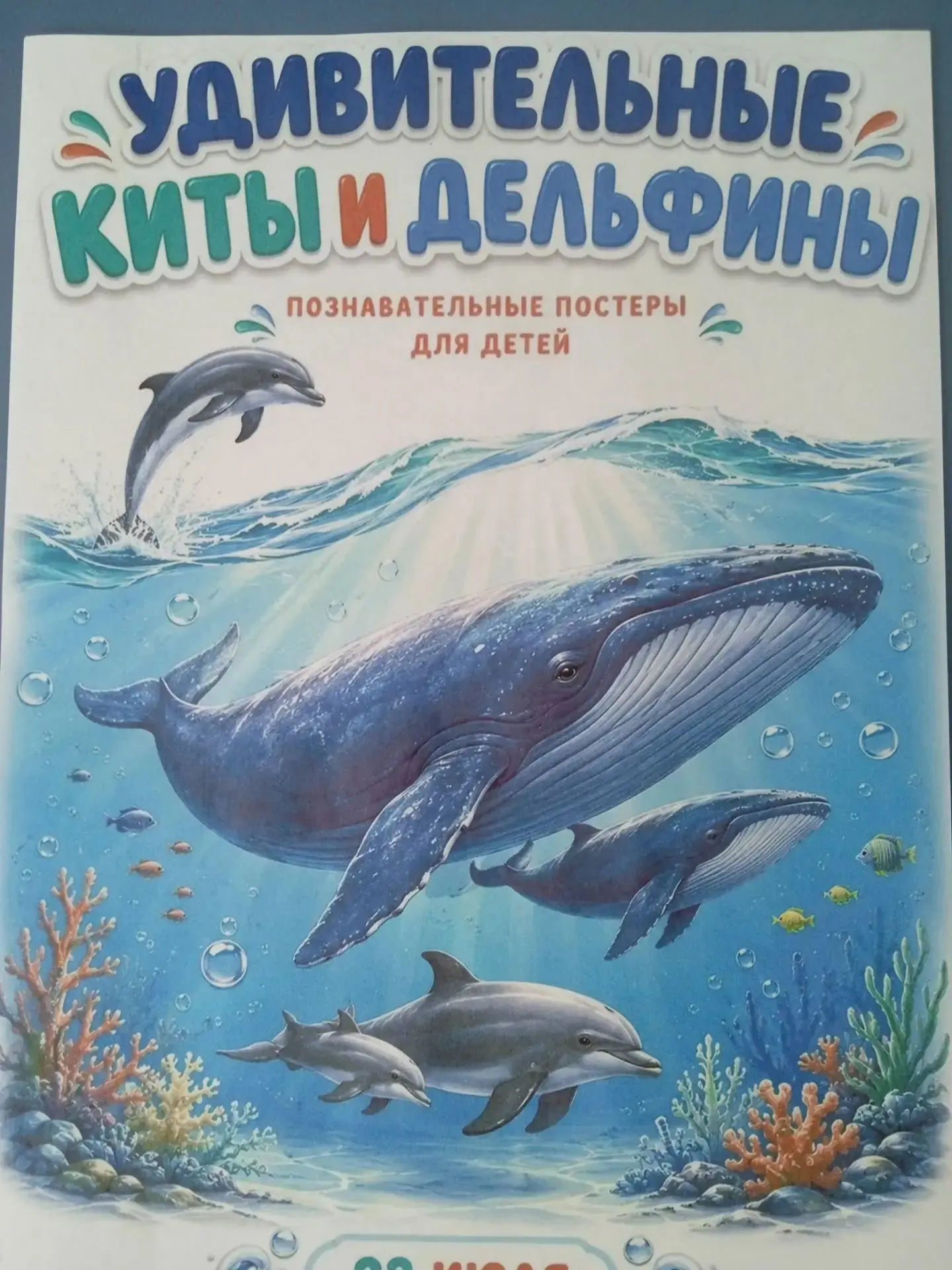 🐬Удивительные киты и дельфины 🐳

В день защиты китов и дельфинов в старшей А группе "Семицветик" п