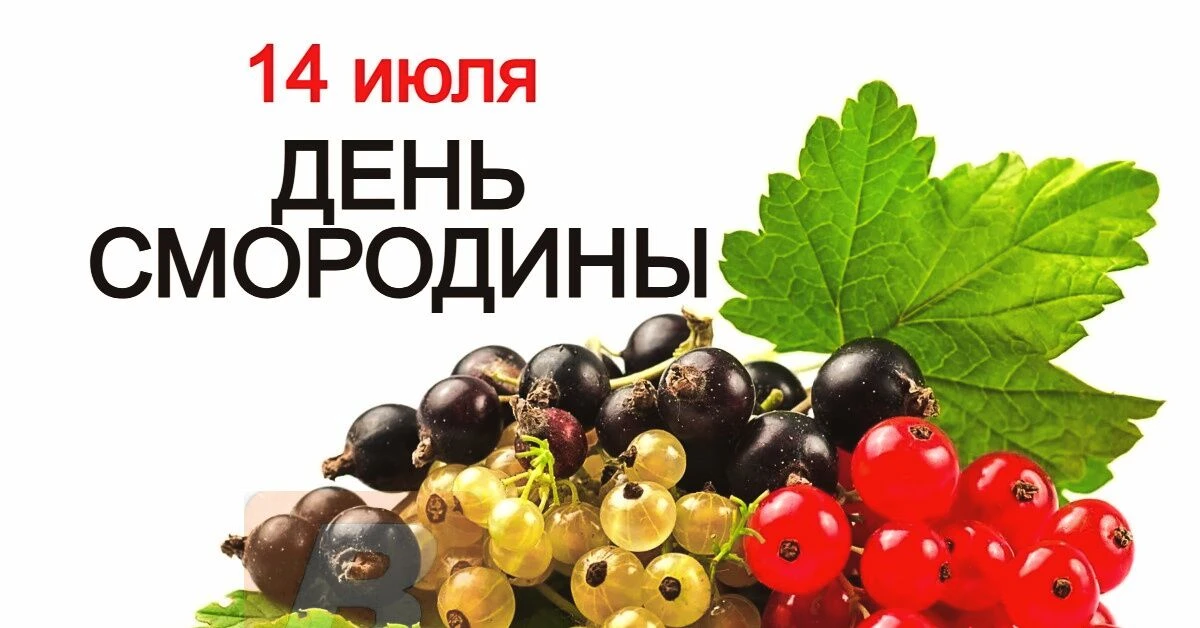 🌟 Доброе утро, школа! 🌟

Сегодня вторник, 14 июля, а это значит, что наш лагерь «Заря» продолжает 