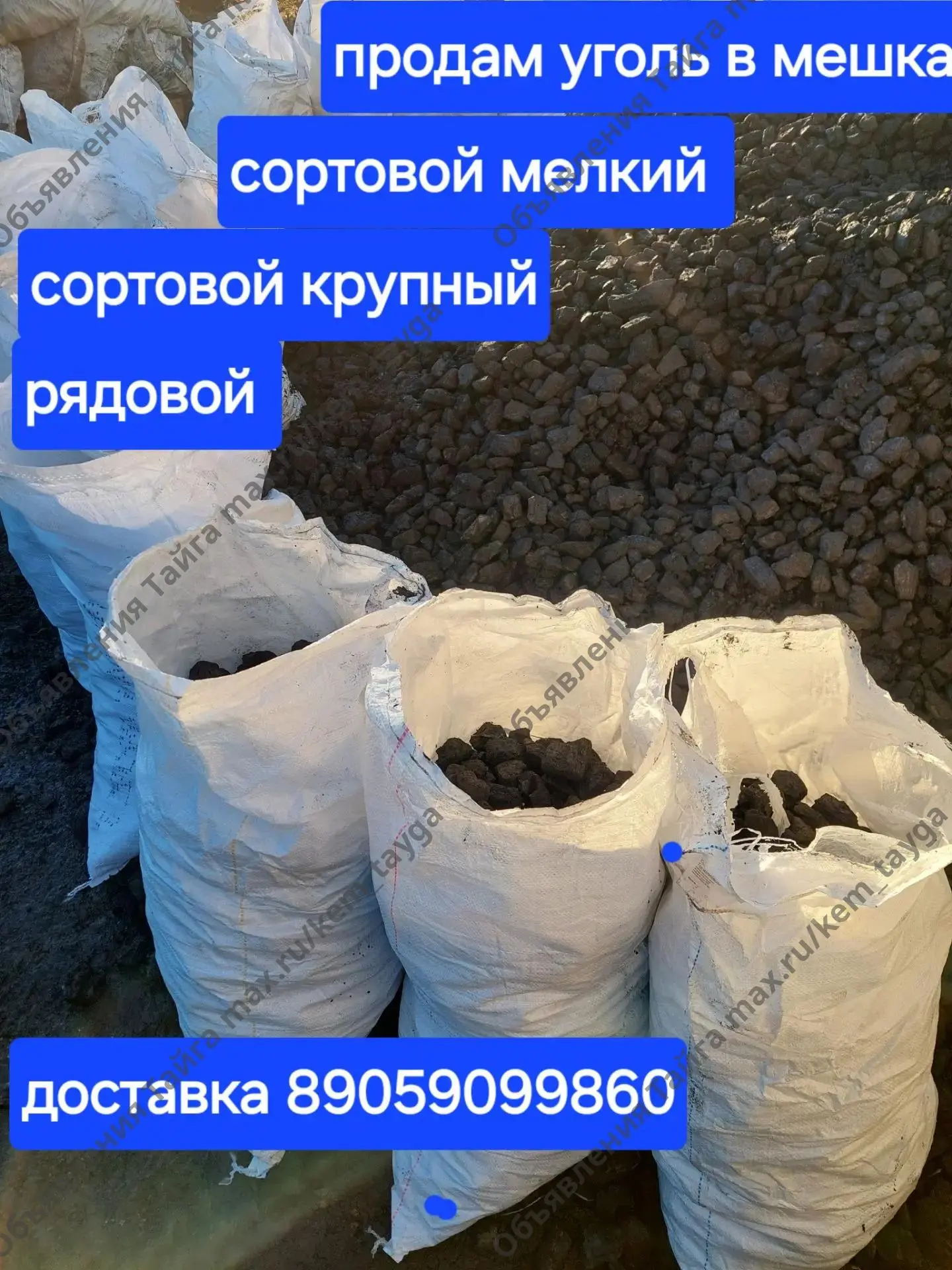 (без текста)