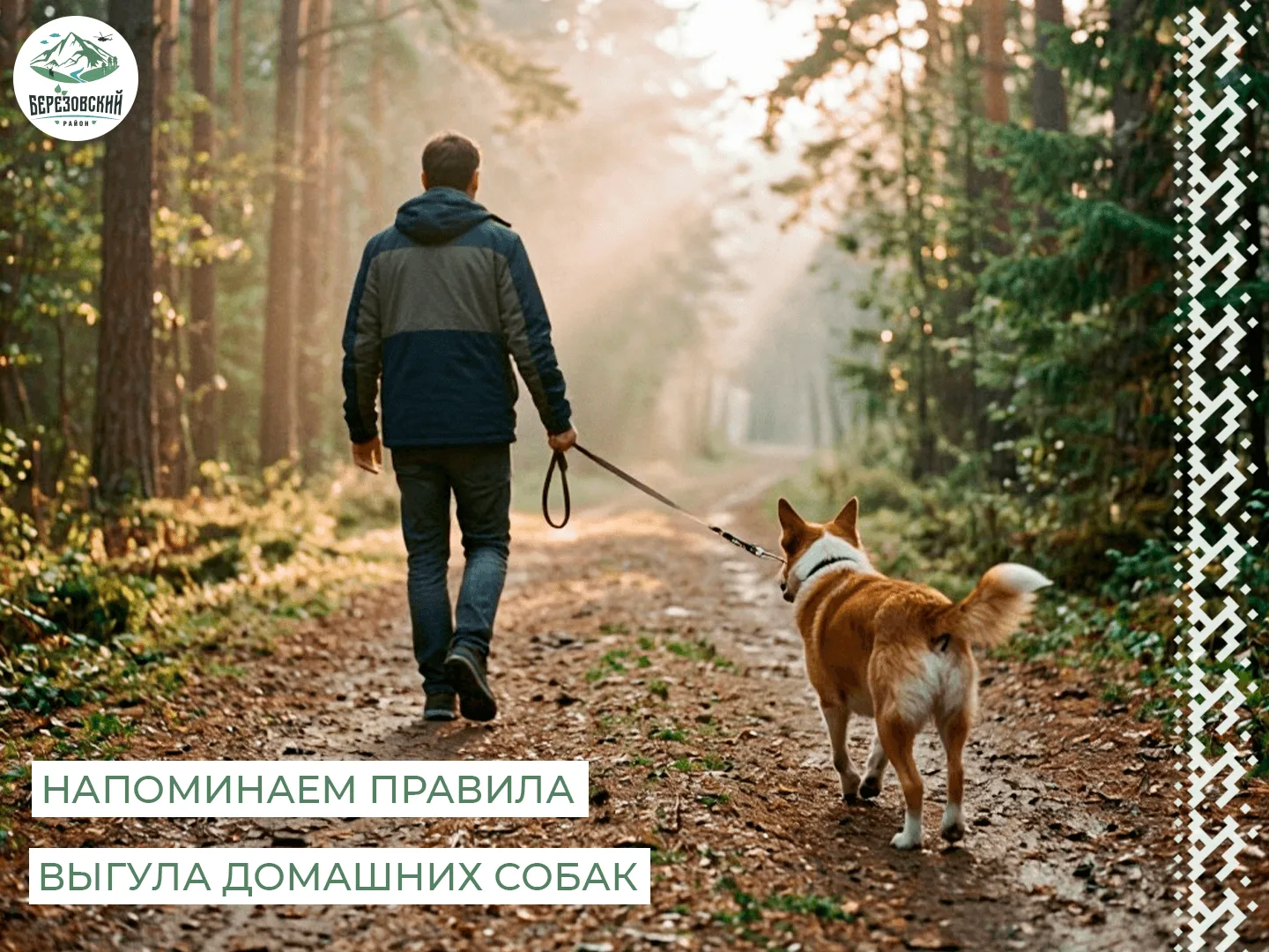 ❕Уважаемые владельцы собак!