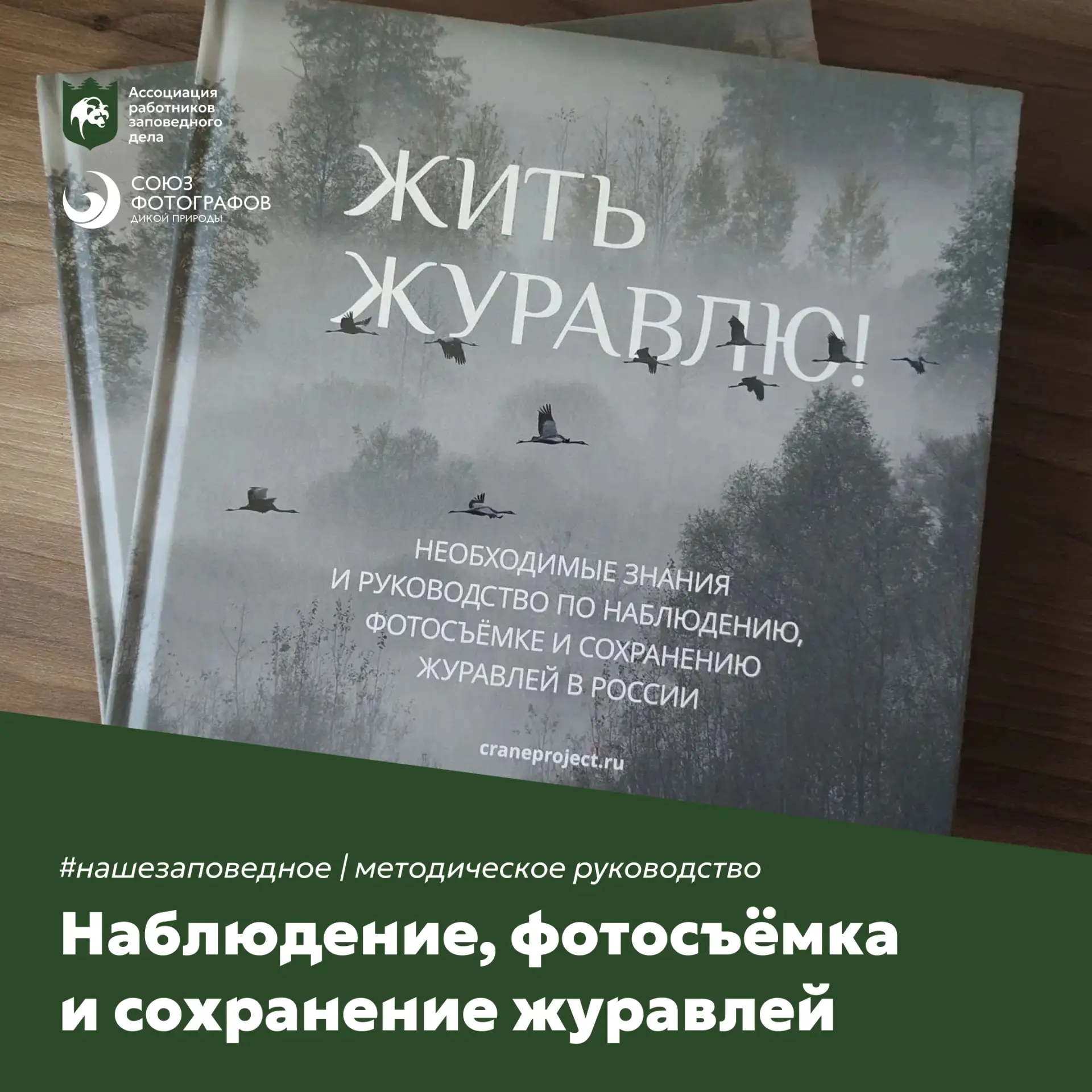 Наше заповедное | «Жить журавлю!»