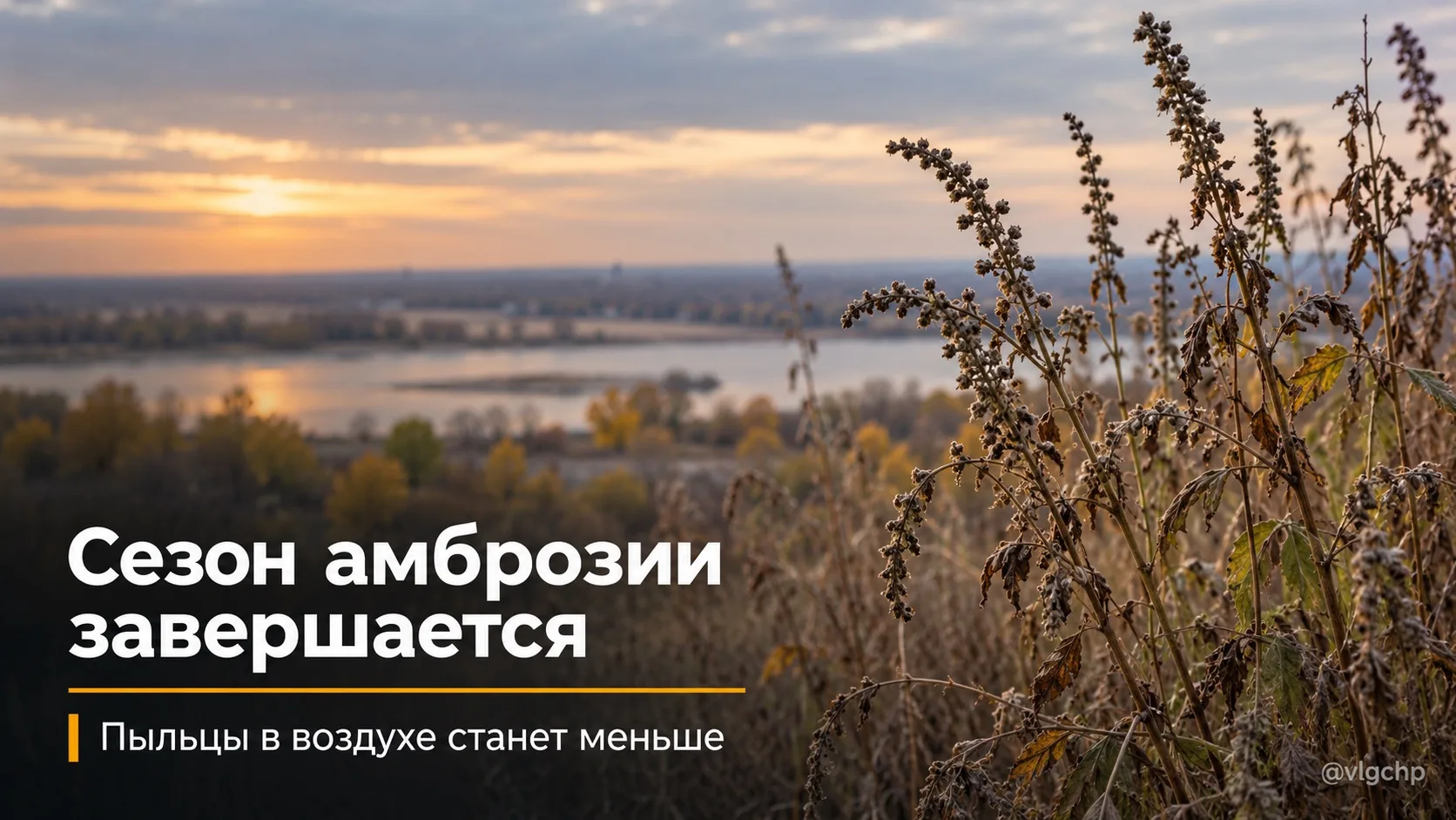 Аллергикам в Волгоградской области осталось немного подождать.