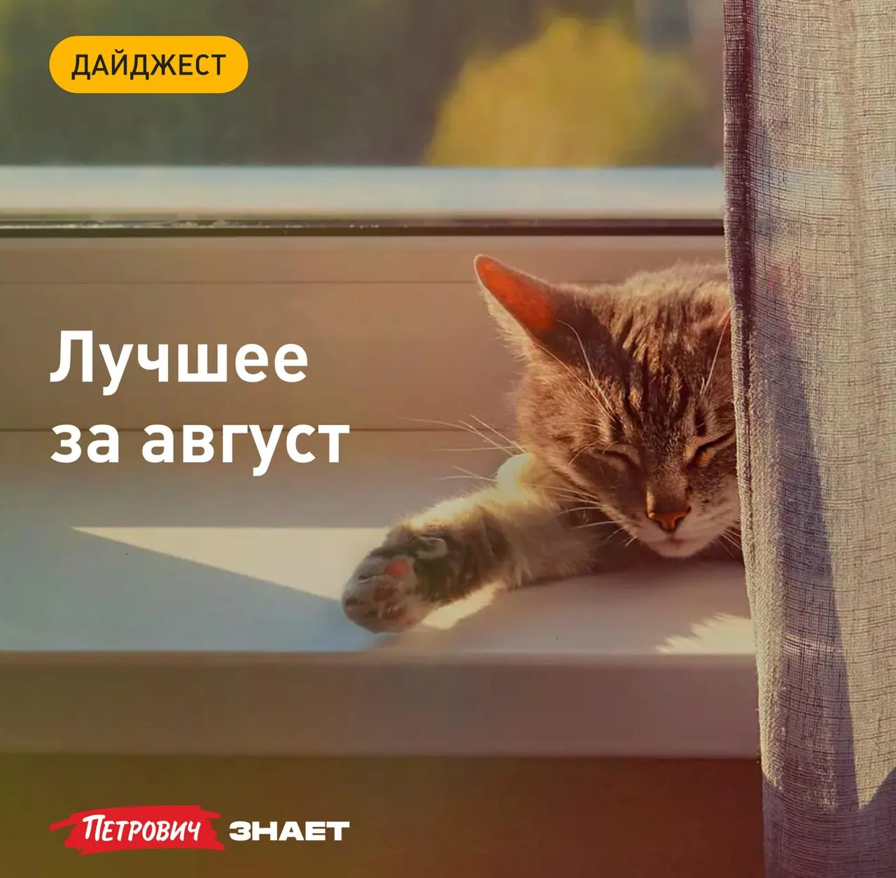 Собрали 10 лучших статей о ремонте, обустройстве дома и участка, которые вышли в август...