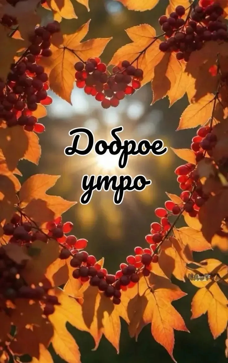 С ДОБРЫМ УТРОМ,