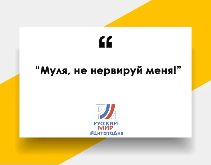 #ЦитатаДня 📝