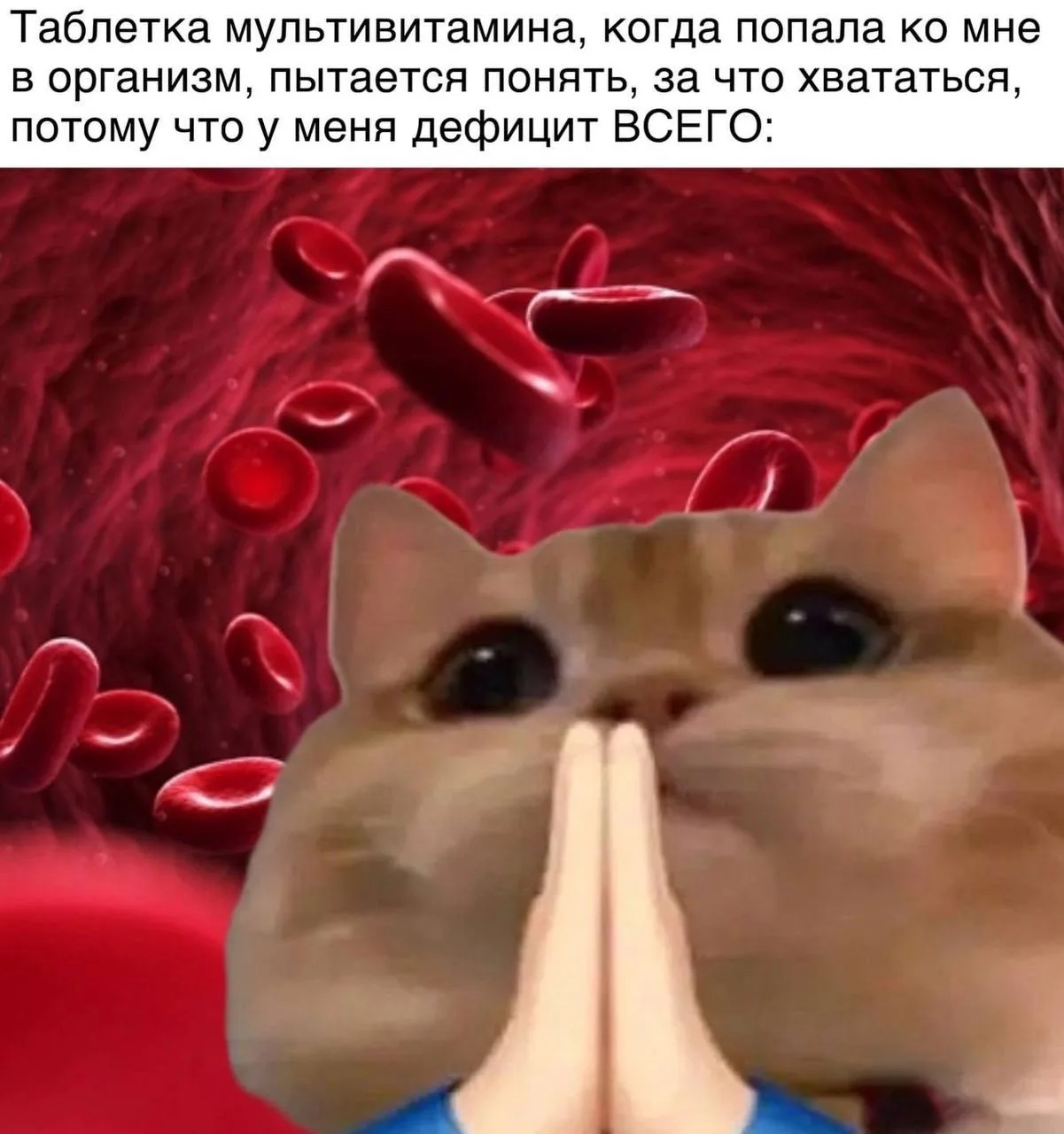 @memachh