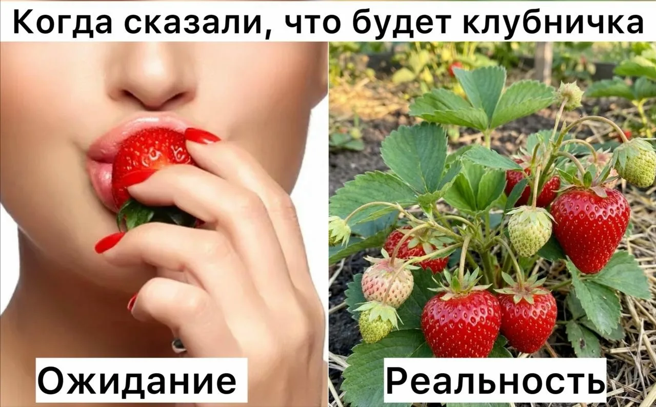 Мужчина вызвал на дом девушку легкого поведения, но вместо оказания услуг та предложила ему вложитьс