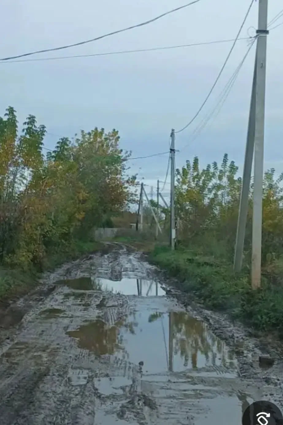 Крик души!!!