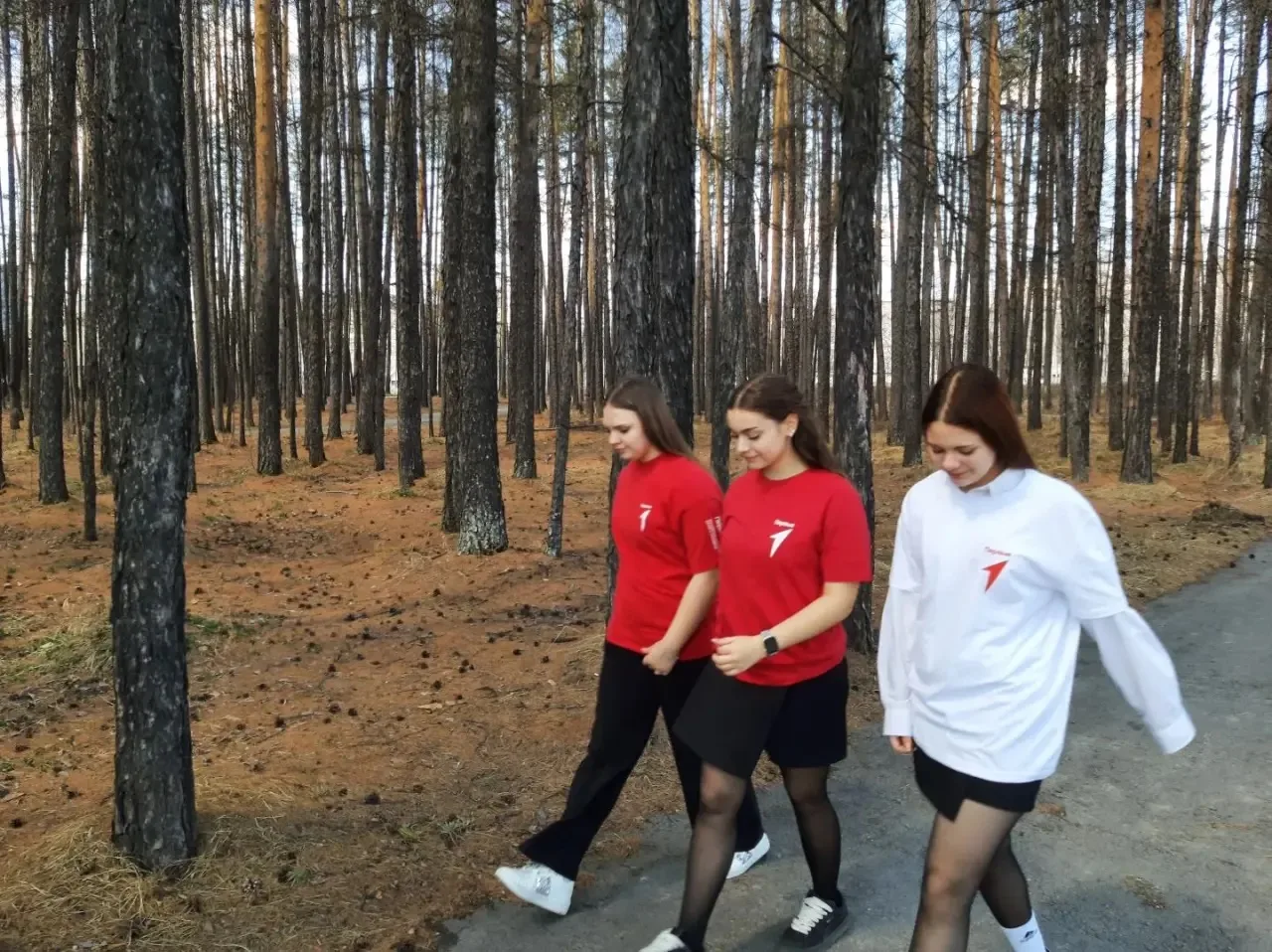 🚩 Активисты «Движения Первых» отправились в поход!  Наши активисты не сидят на месте — они отправили