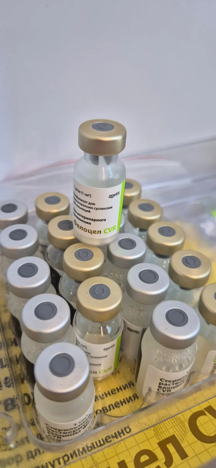 Внимание, в связи с закупкой новых вакцин, вакцинация кошек Фелоцелом (США) в клинике д...