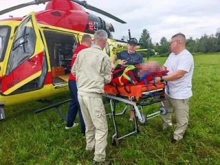 ❗В Кузбассе медведица чуть не растерзала туриста