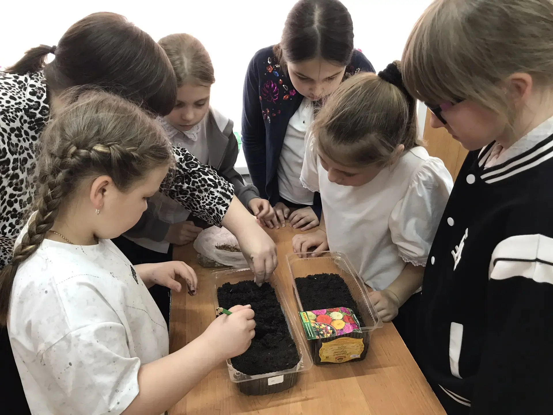 Цветущая школа: готовимся к яркому сезону! 🌸🌼🌺  Весна в нашей школе – это не только звонкие перемены