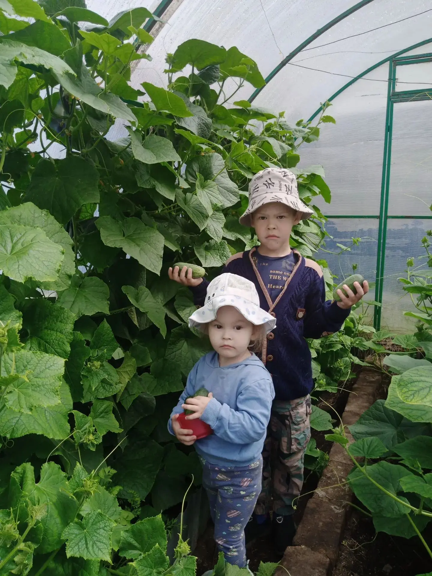 🌺Фотоконкурс "Мой любимый сад"

🔥В нашем конкурсе участвует юный огородник Муфтиев Данияр, 6 лет, 