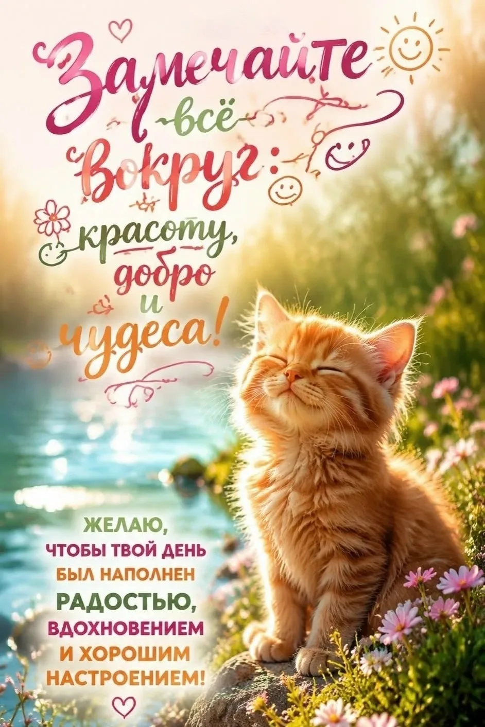Открытки