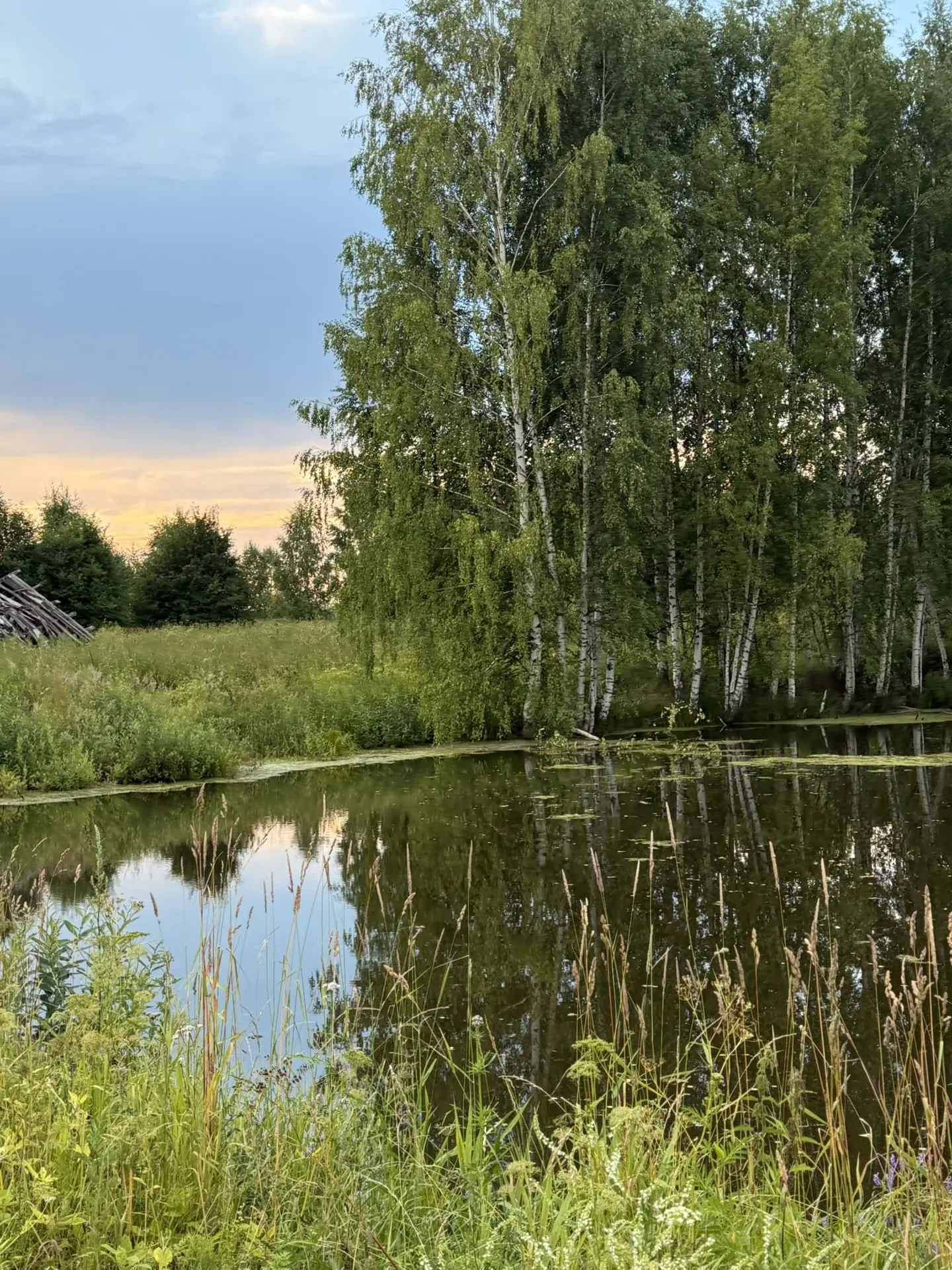 💌 Ещё один день в копилку добрых, где каждой клеточкой тела чувствуется забота и любовь близких, ед