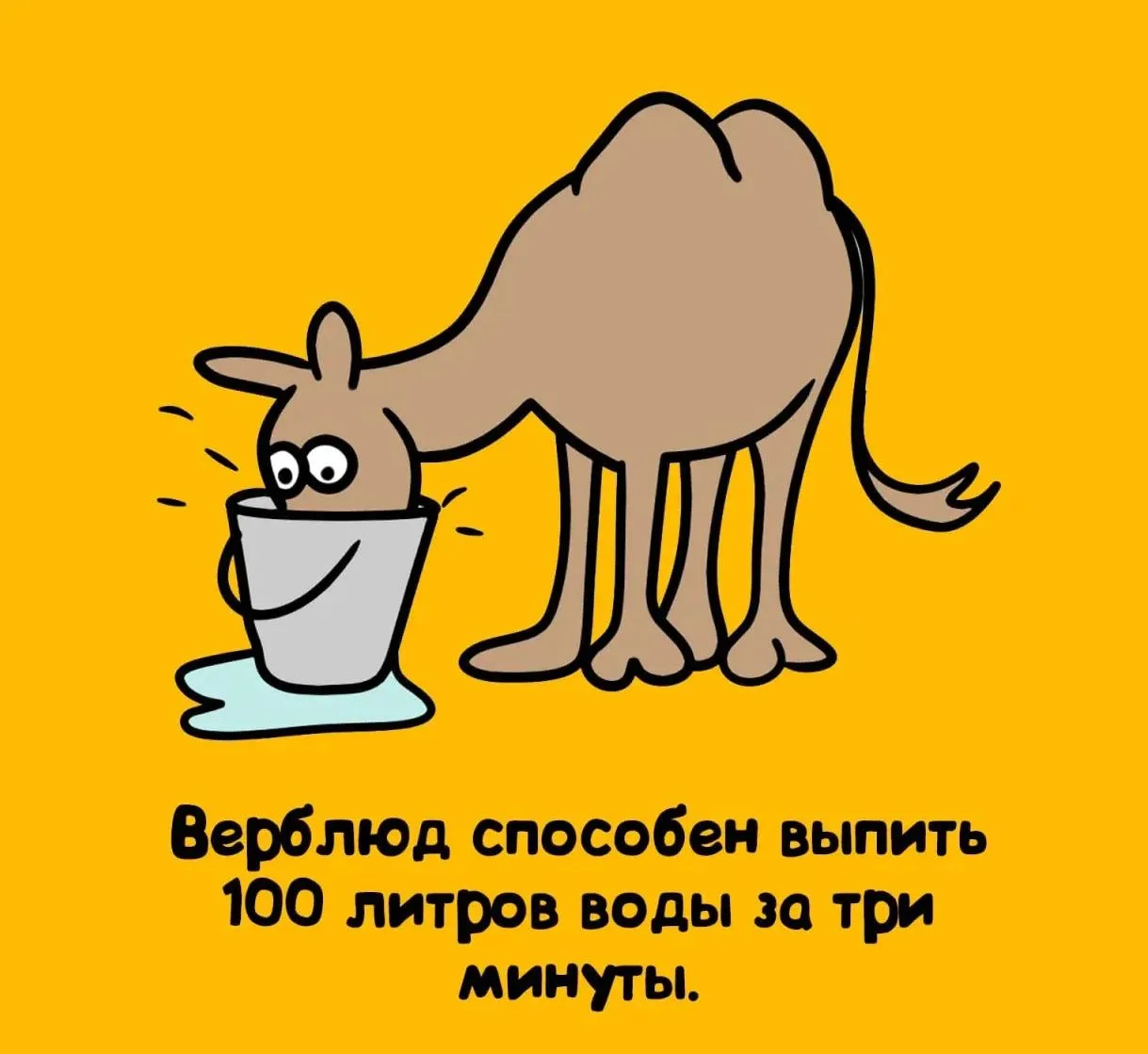 Ставь ❤️, если не знал этого факта, и подписывайся — впереди ещё много открытий!