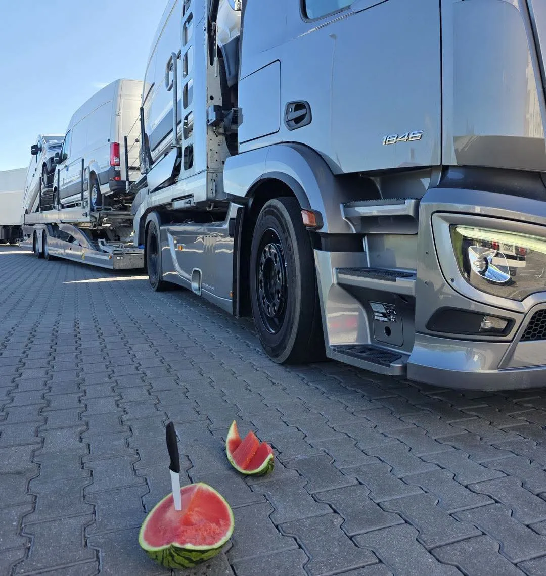 Арбуз 🍉  всегда приветствуется