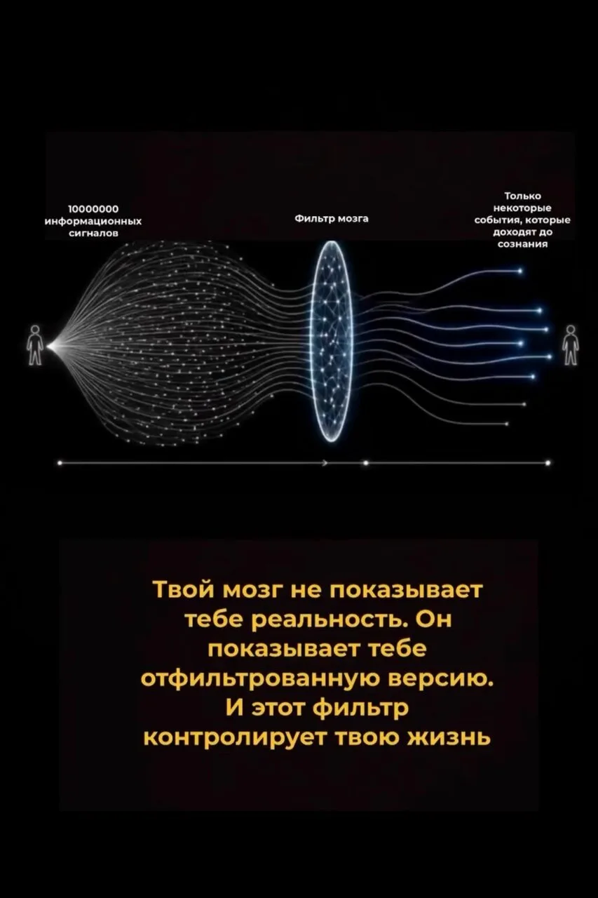 Ваш мозг показывает вам не реальность, а её отфильтрованную версию. И именно этот фильт...