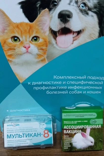 Поступление комплексных вакцин для собак и кроликов