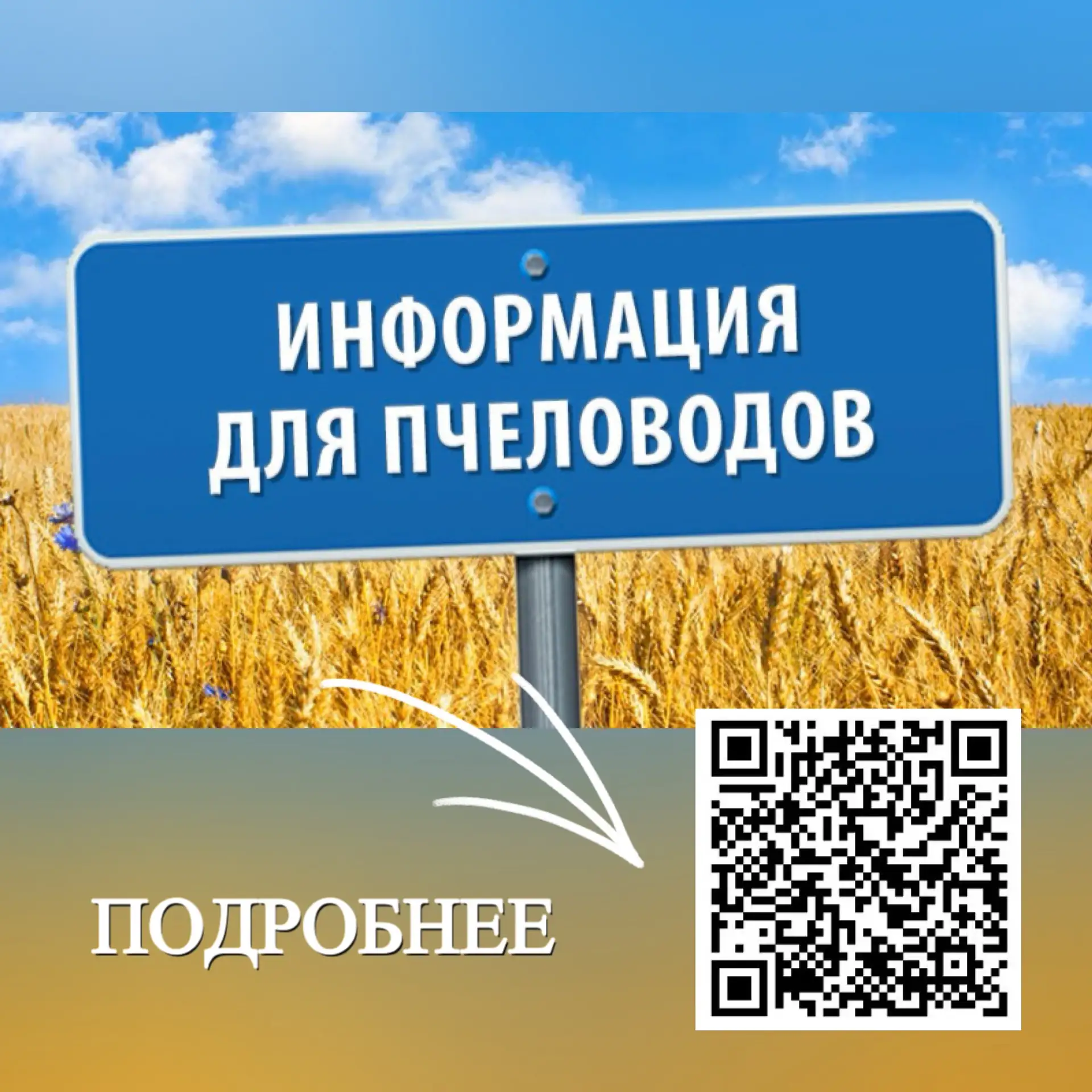 Об обеспечении безопасности пасек при применении пестицидов