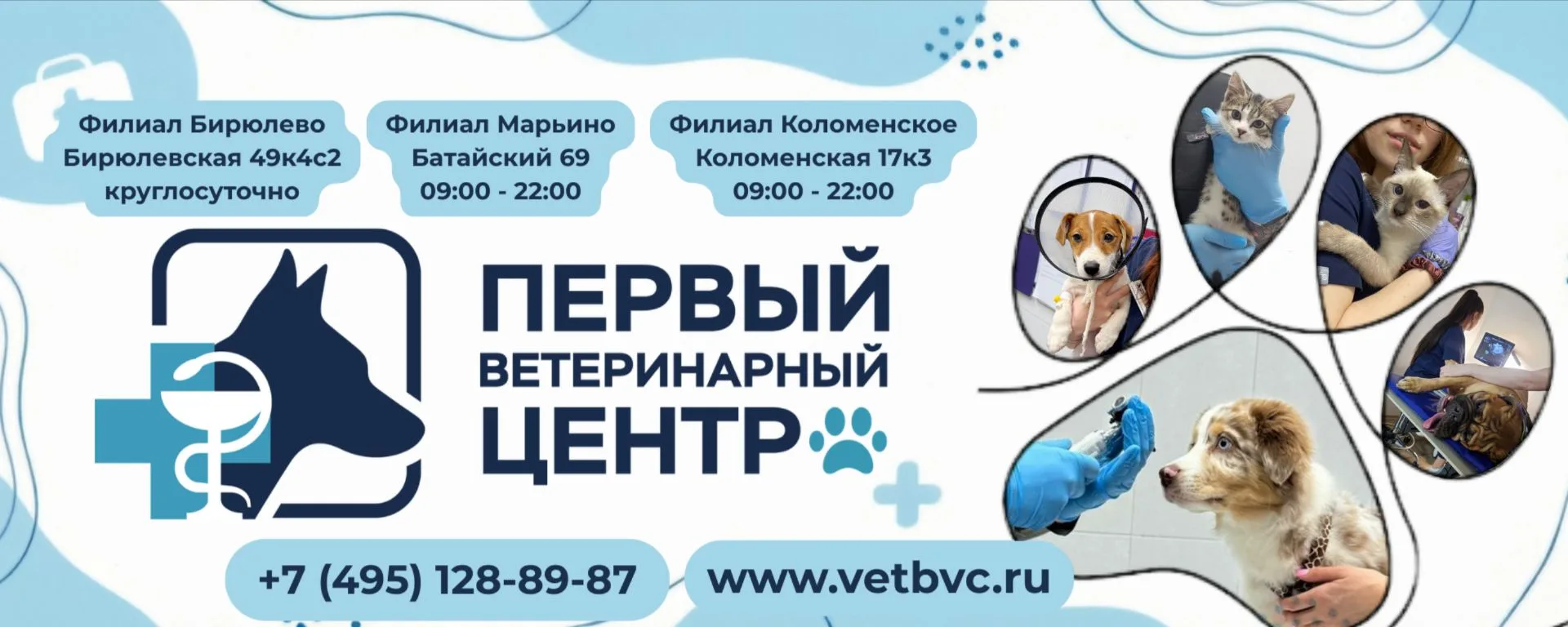 Здоровье вашего питомца — наш главный приоритет!