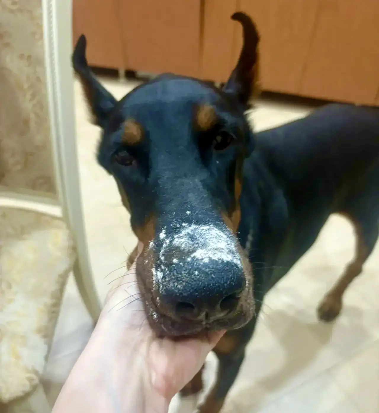 Осуждаю!