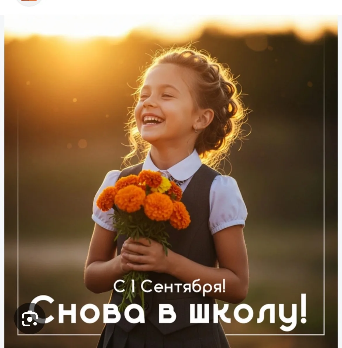 🔔 С Новым учебным годом! С Днем знаний, любимая школа! ✨Лето оставляет за плечами тепл...