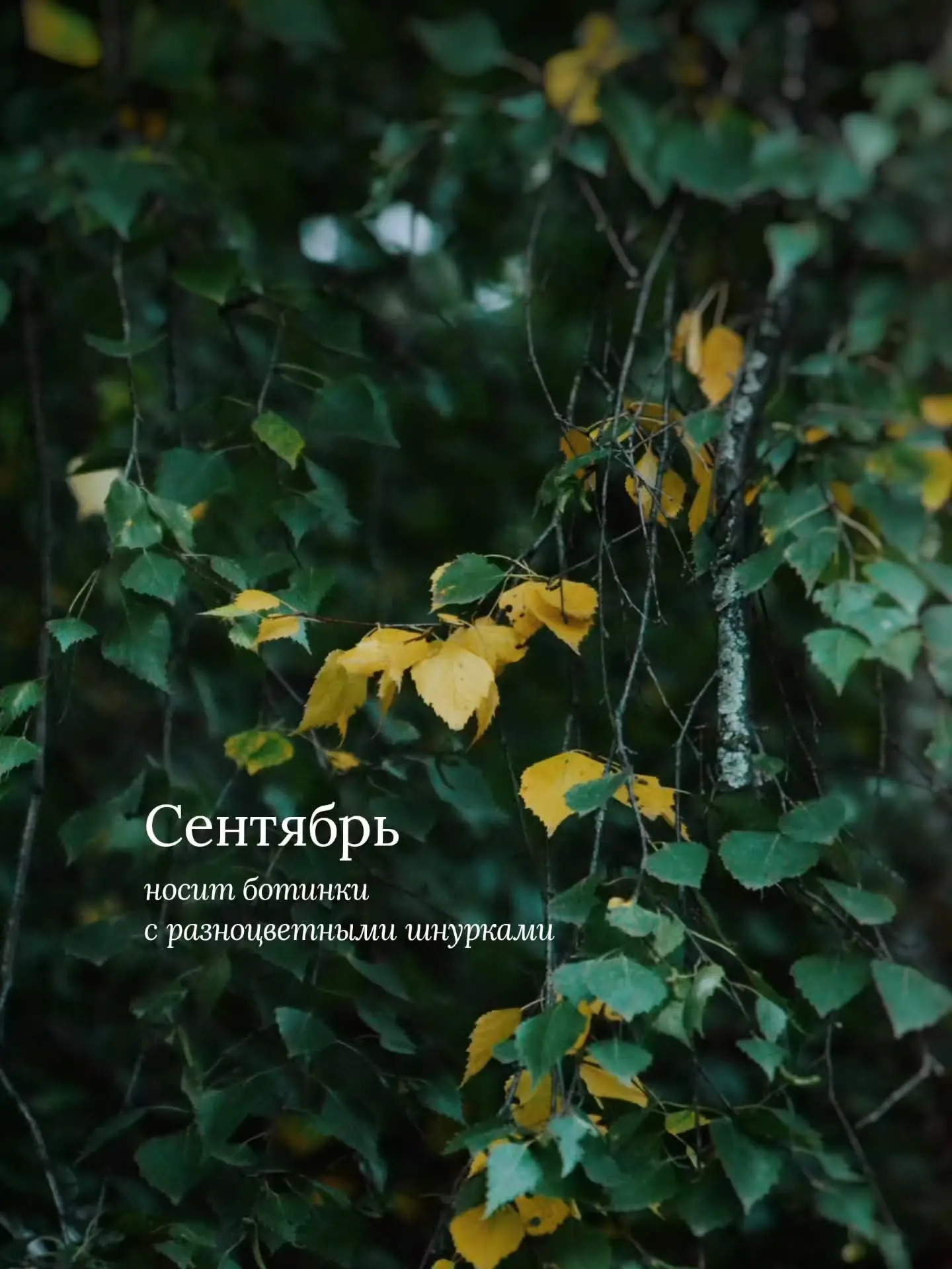 О, одиночество, как твой характер крут!