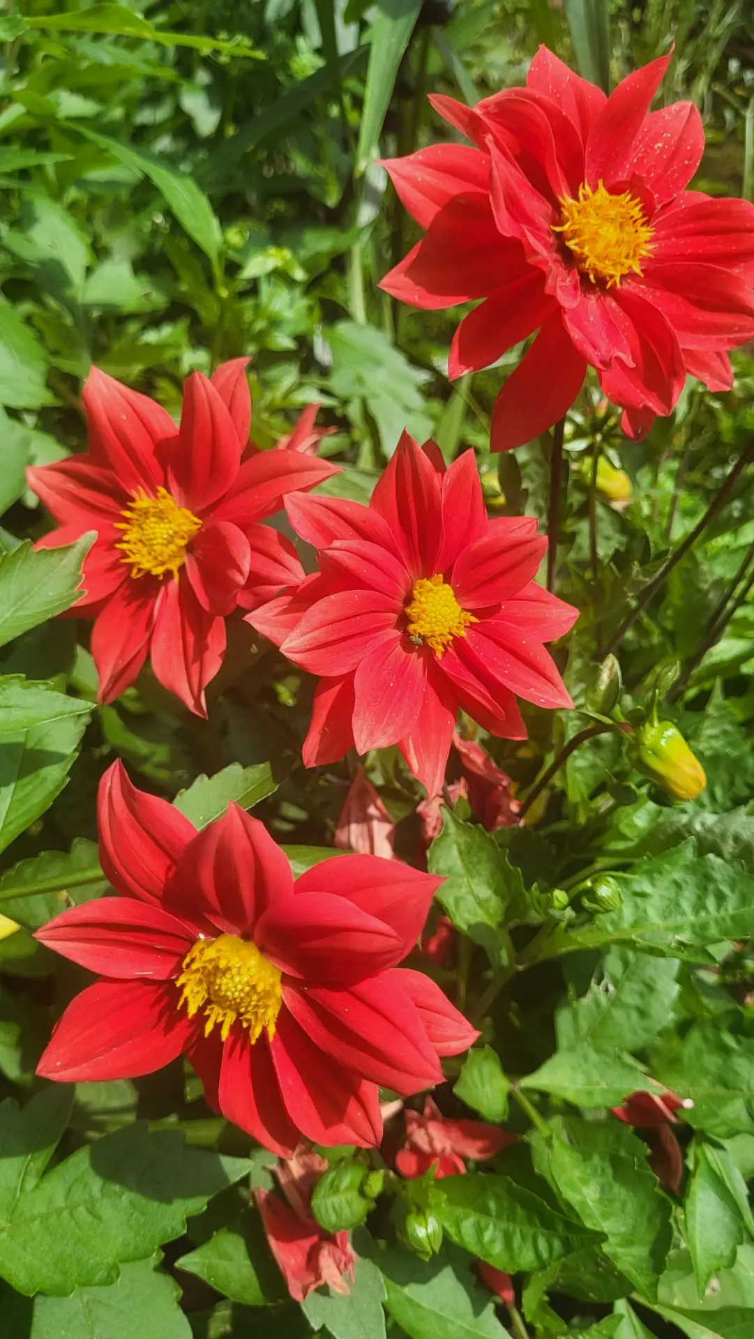 Доброго утра среды🌞
Среда - это маленькая пятница🙌
Ещё немного поработаем и отдыхать👍 надеюсь пог