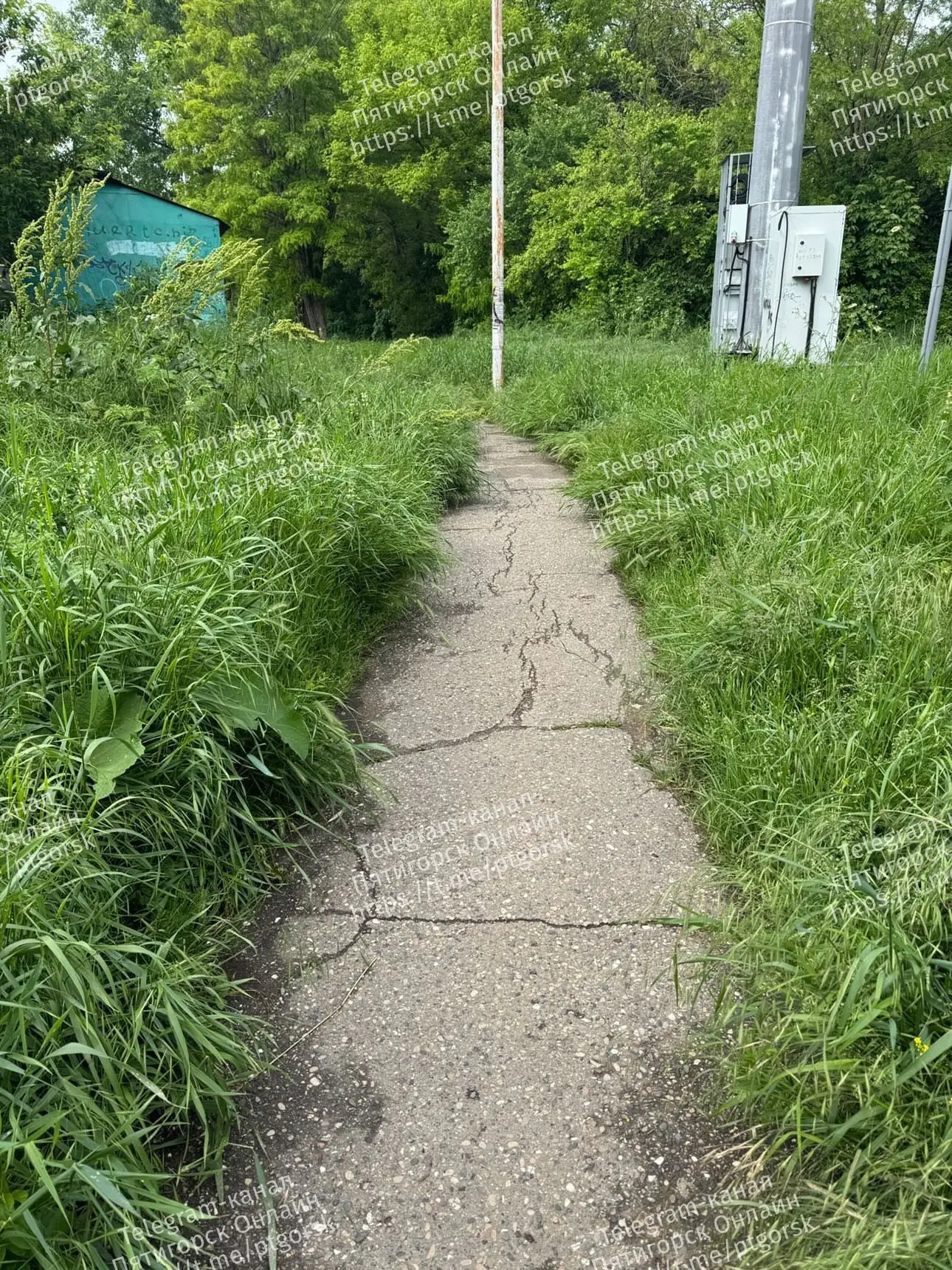 💬Доброе утро.  Тротуар на улице Лопатина от жд путей ( остановка Транзитная) больше похож на поле. Т