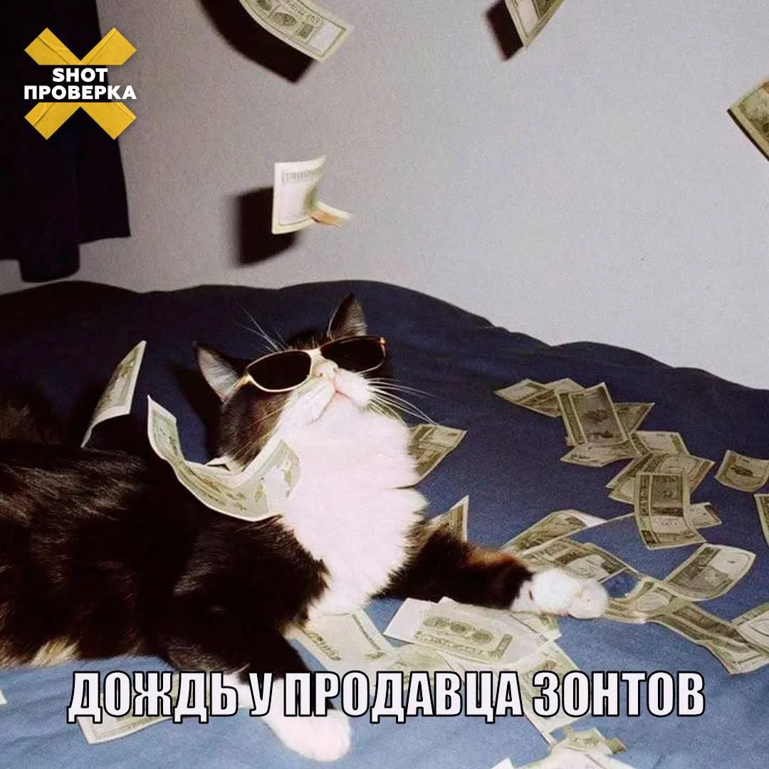 Золотые дожди обрушились на продавцов зонтов в Москве — после ливней их дневная выручка...