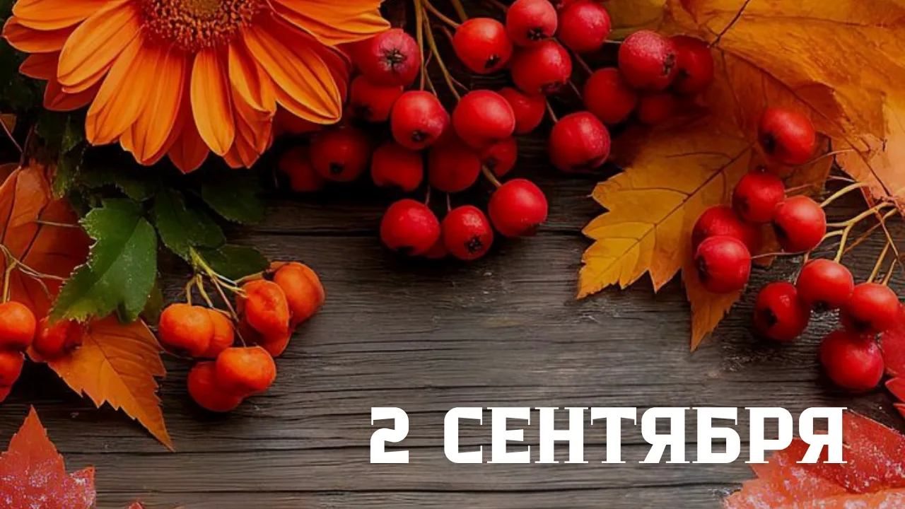 🎊2 сентября 2026 года отмечают: