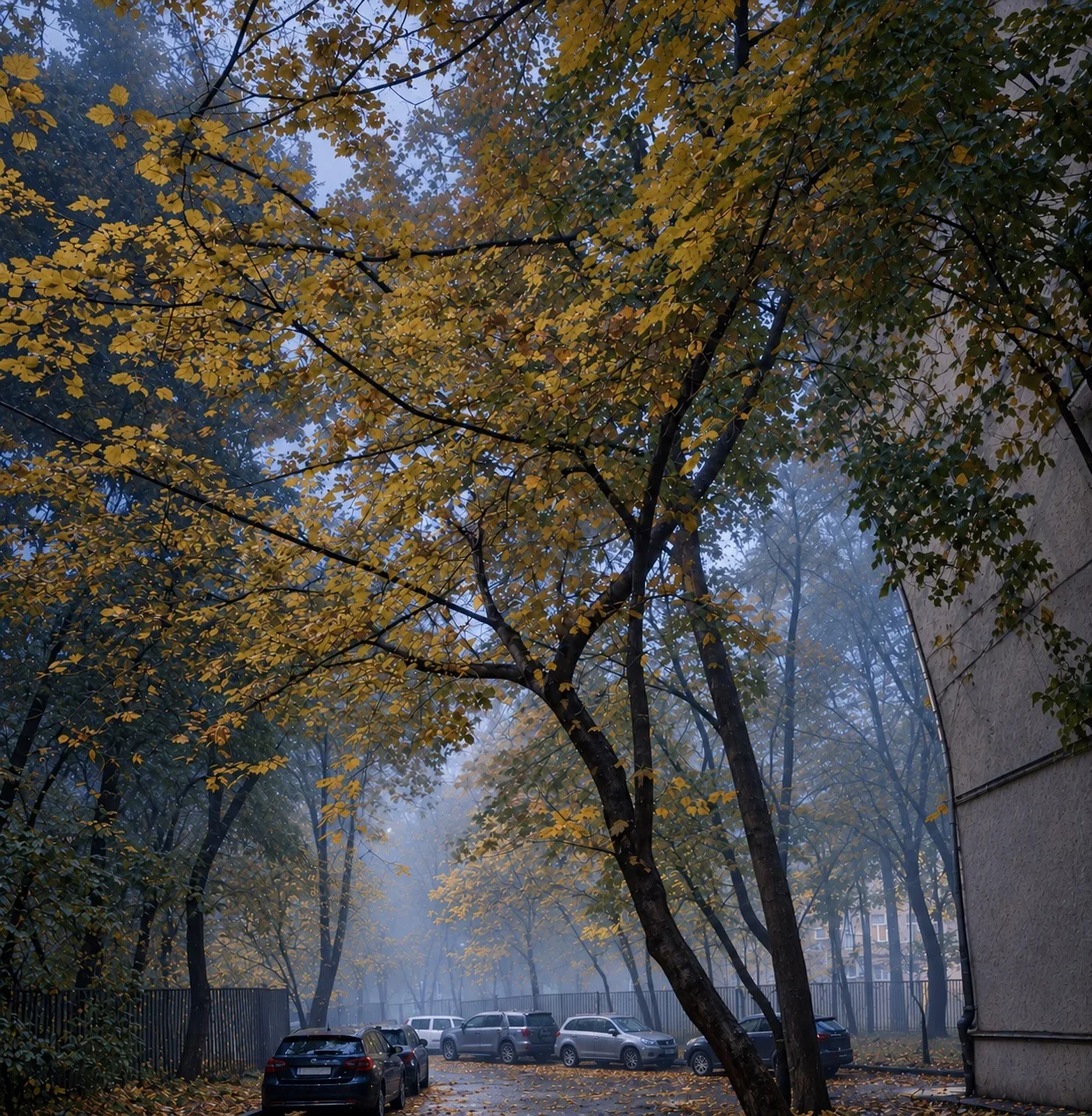 Сегодняшнее утро)
