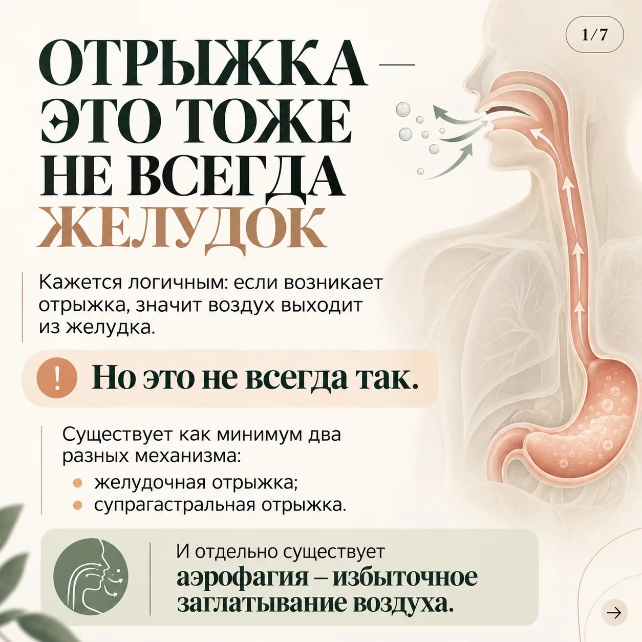 НАТУРОПАТИЧЕСКАЯ ПОДДЕРЖКА ПРИ ОТРЫЖКЕ.